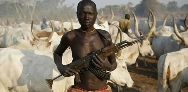 Plateau: Suspected Fulani Herdsmen kill two, burn several houses