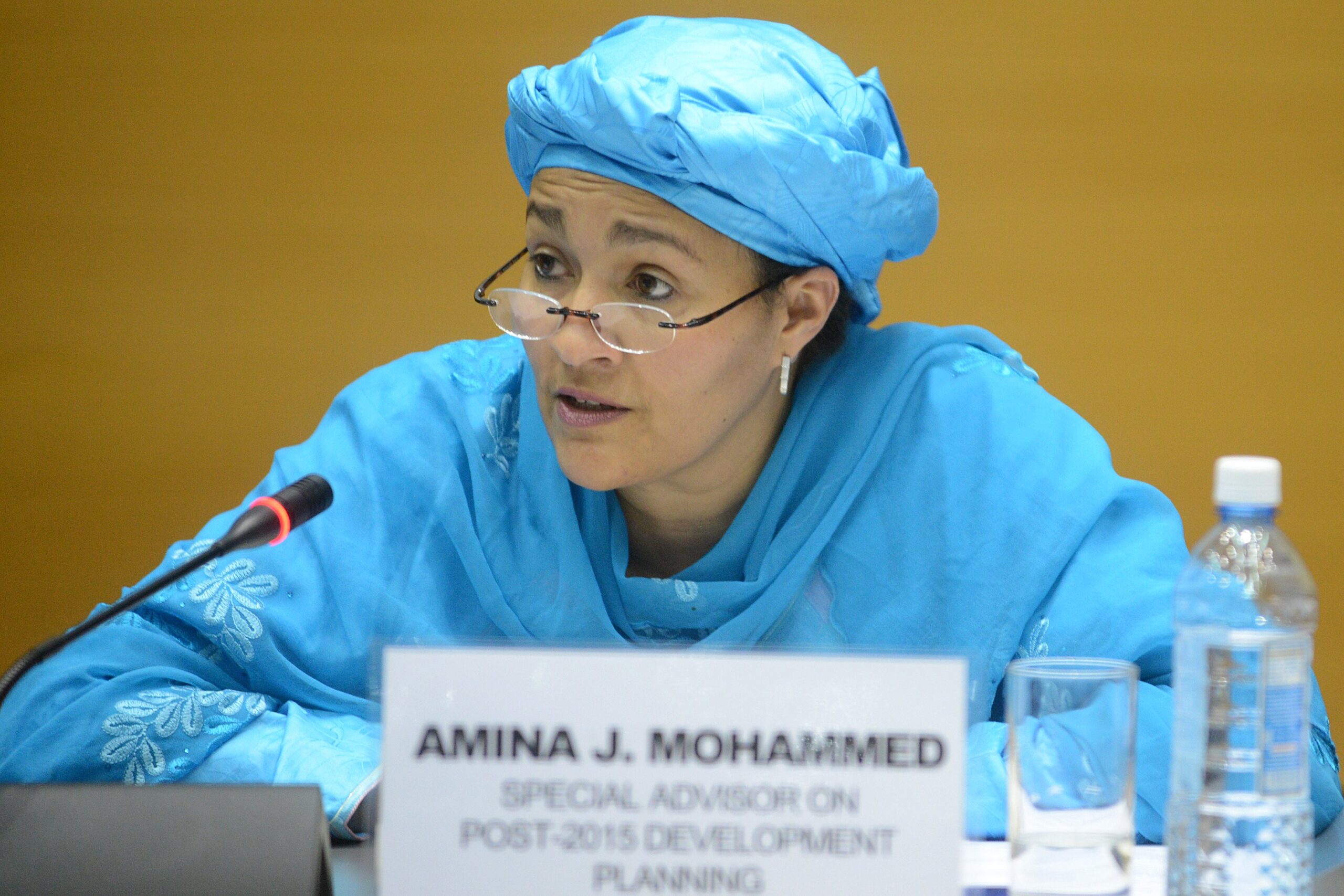 amina mohammed