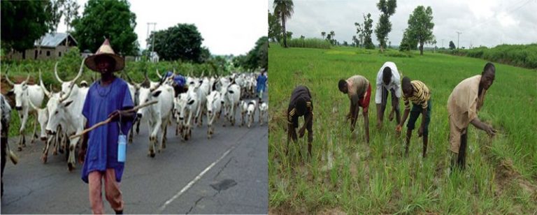 Female farmer kills Fulani herdsman