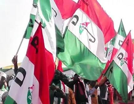 2019 Presidential Election: Female candidate emerges on PDP platform