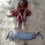 Civilians foil suicide attack in Yobe mosque