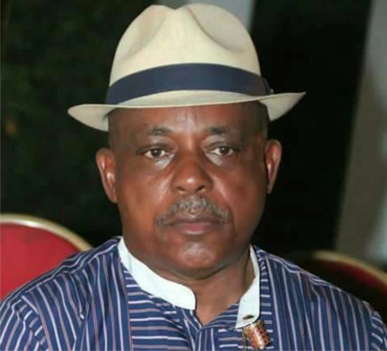 PDP, Secondus' panic letters to international bodies: A case of bad party's ghost coming after it - Eze