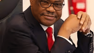 Wike, Fayose, Top Allies Expelled at National Convention